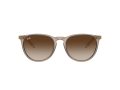 Ray-Ban Erika Aurinkolasit RB 4171 674413