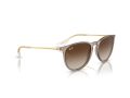 Ray-Ban Erika Aurinkolasit RB 4171 674413