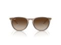 Ray-Ban Erika Aurinkolasit RB 4171 674413