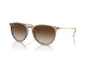 Ray-Ban Erika Aurinkolasit RB 4171 674413