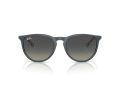 Ray-Ban Erika Aurinkolasit RB 4171 681311