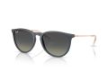 Ray-Ban Erika Aurinkolasit RB 4171 681311