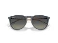 Ray-Ban Erika Aurinkolasit RB 4171 681311