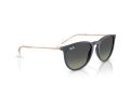 Ray-Ban Erika Aurinkolasit RB 4171 681311