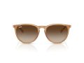 Ray-Ban Erika Aurinkolasit RB 4171 681413