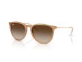 Ray-Ban Erika Aurinkolasit RB 4171 681413