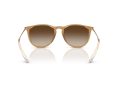 Ray-Ban Erika Aurinkolasit RB 4171 681413