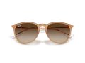 Ray-Ban Erika Aurinkolasit RB 4171 681413