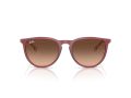 Ray-Ban Erika Aurinkolasit RB 4171 6815A5