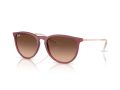 Ray-Ban Erika Aurinkolasit RB 4171 6815A5