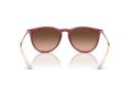 Ray-Ban Erika Aurinkolasit RB 4171 6815A5