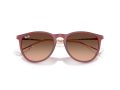 Ray-Ban Erika Aurinkolasit RB 4171 6815A5