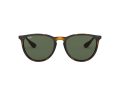 Ray-Ban Erika Aurinkolasit RB 4171 710/71