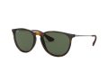Ray-Ban Erika Aurinkolasit RB 4171 710/71