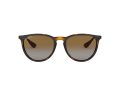 Ray-Ban Erika Aurinkolasit RB 4171 710/T5