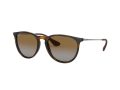 Ray-Ban Erika Aurinkolasit RB 4171 710/T5