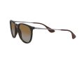 Ray-Ban Erika Aurinkolasit RB 4171 710/T5