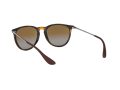 Ray-Ban Erika Aurinkolasit RB 4171 710/T5