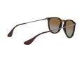 Ray-Ban Erika Aurinkolasit RB 4171 710/T5