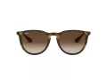 Ray-Ban Erika Aurinkolasit RB 4171 865/13