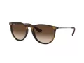Ray-Ban Erika Aurinkolasit RB 4171 865/13
