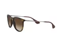 Ray-Ban Erika Aurinkolasit RB 4171 865/13