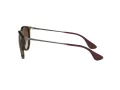 Ray-Ban Erika Aurinkolasit RB 4171 865/13