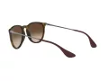 Ray-Ban Erika Aurinkolasit RB 4171 865/13