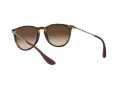 Ray-Ban Erika Aurinkolasit RB 4171 865/13