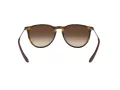Ray-Ban Erika Aurinkolasit RB 4171 865/13