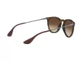 Ray-Ban Erika Aurinkolasit RB 4171 865/13