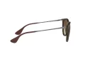 Ray-Ban Erika Aurinkolasit RB 4171 865/13