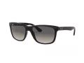Ray-Ban Rb4181 Aurinkolasit RB 4181 601/71