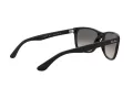 Ray-Ban Rb4181 Aurinkolasit RB 4181 601/71