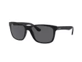 Ray-Ban Rb4181 Aurinkolasit RB 4181 601/87