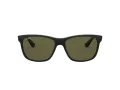 Ray-Ban Rb4181 Aurinkolasit RB 4181 601/9A