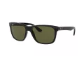 Ray-Ban Rb4181 Aurinkolasit RB 4181 601/9A