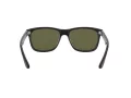 Ray-Ban Rb4181 Aurinkolasit RB 4181 601/9A