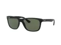 Ray-Ban Rb4181 Aurinkolasit RB 4181 601