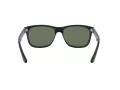 Ray-Ban Rb4181 Aurinkolasit RB 4181 601