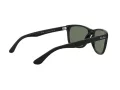 Ray-Ban Rb4181 Aurinkolasit RB 4181 601