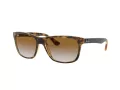 Ray-Ban Rb4181 Aurinkolasit RB 4181 710/51