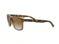 Ray-Ban Rb4181 Aurinkolasit RB 4181 710/51