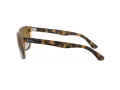 Ray-Ban Rb4181 Aurinkolasit RB 4181 710/51
