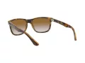 Ray-Ban Rb4181 Aurinkolasit RB 4181 710/51