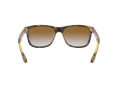 Ray-Ban Rb4181 Aurinkolasit RB 4181 710/51
