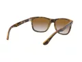 Ray-Ban Rb4181 Aurinkolasit RB 4181 710/51