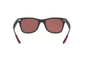 Ray-Ban Ferrari Aurinkolasit RB 4195M F602/H2