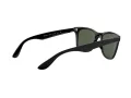 Ray-Ban Wayfarer Liteforce Aurinkolasit RB 4195 601/71