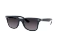 Ray-Ban Wayfarer Liteforce Aurinkolasit RB 4195 6331/8G